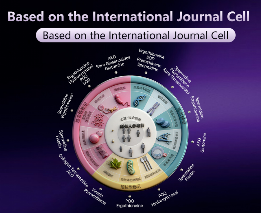 The Complete Guide to Cellular Anti-Aging: Understanding the 14 Hallmarks of Aging